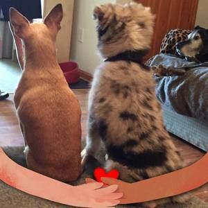 Meet your Posher, Cheryl